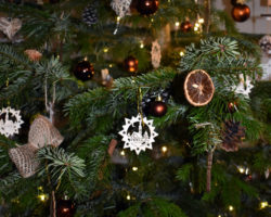 Merry Christmas!