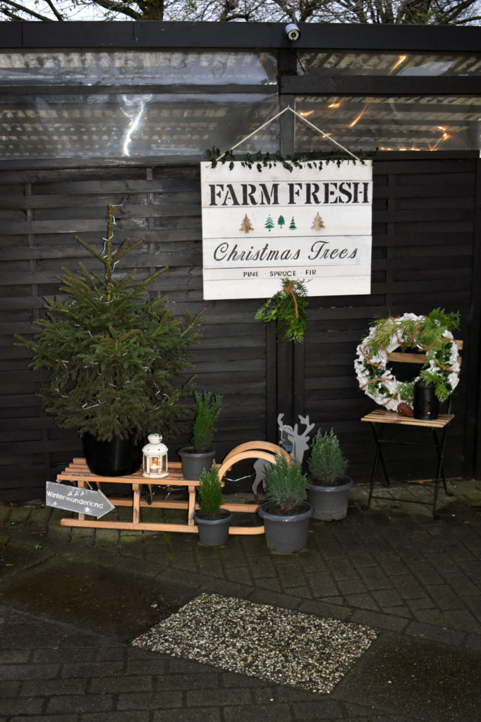 farm fresh christmas trees