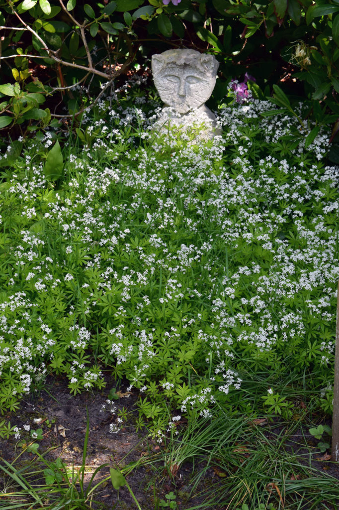 garten fruehling landhaus