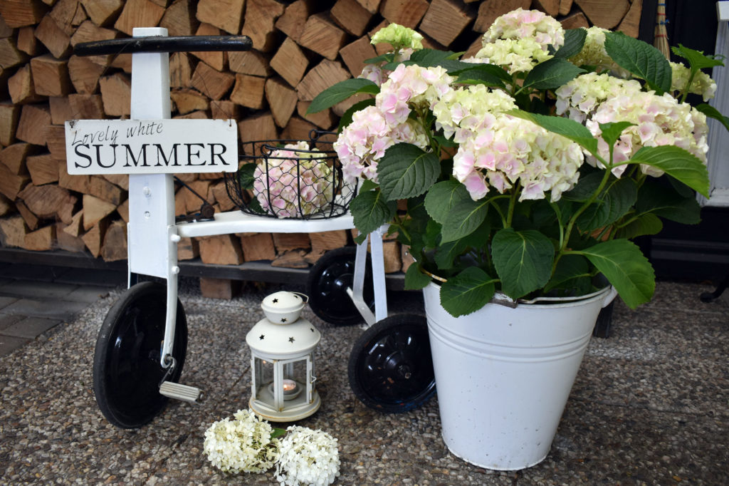 Sommerdeko Hortensien Shabbyrad Gartendeko