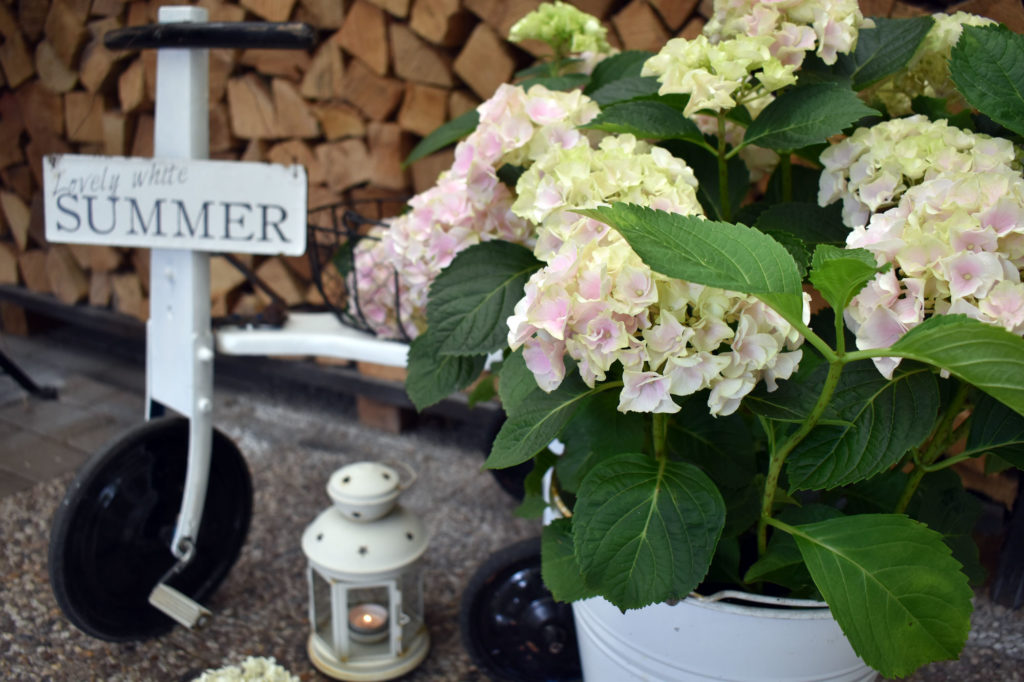 Sommerdeko Hortensien Shabbyrad Gartendeko