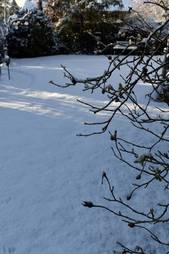 Winter Gartendeko Garten Shabby