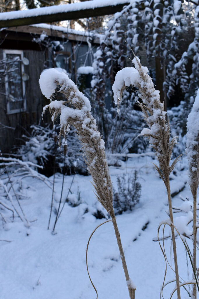 Winter Gartendeko Garten Shabby