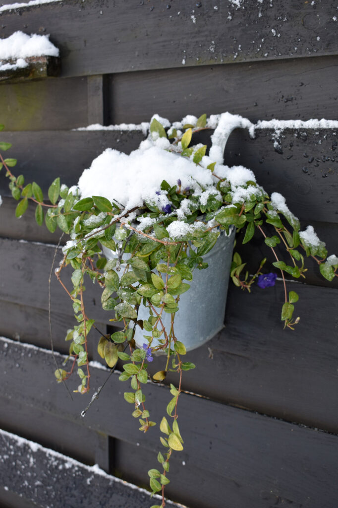 Winter Gartendeko Garten Shabby