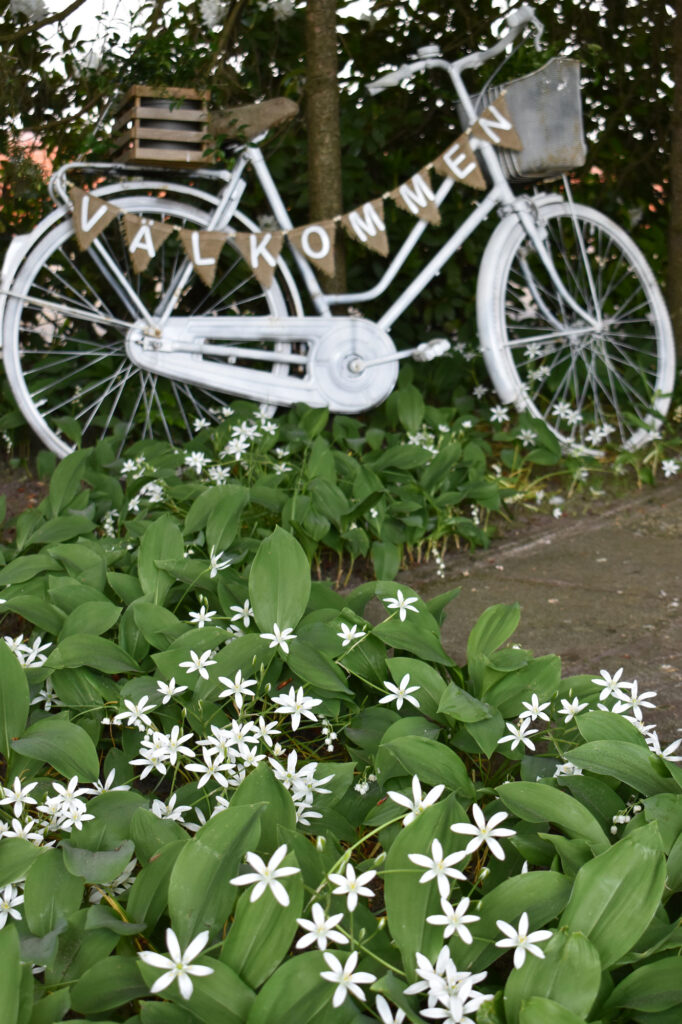 Gartendeko Shabby Fahrrad Scandi Frühling